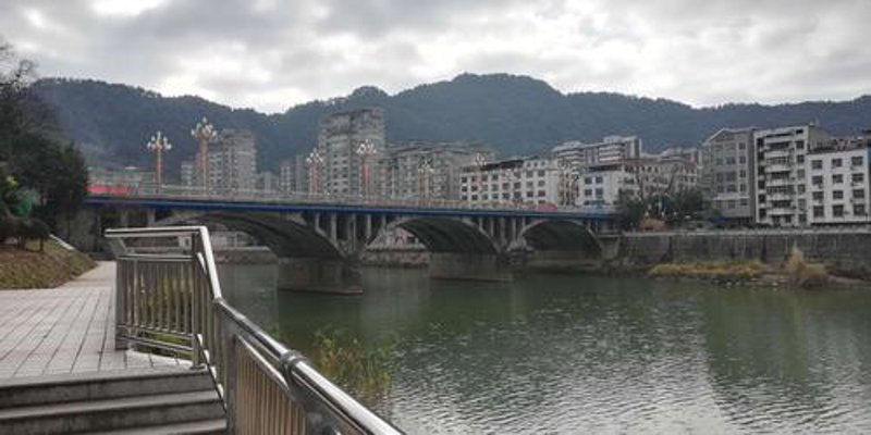 龙津镇商行的发展趋势与机遇